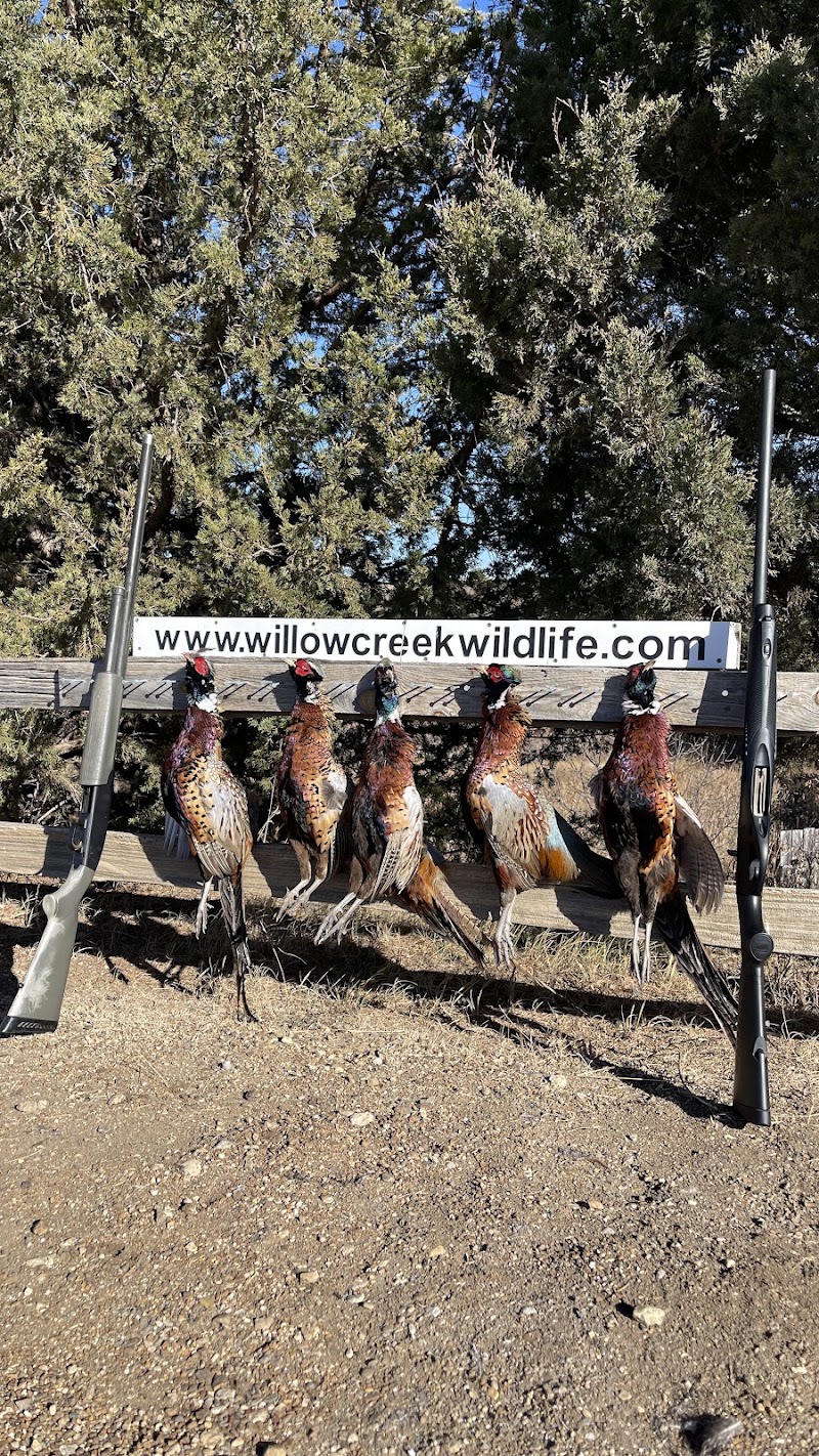 Willow Creek Wildlife INC photo