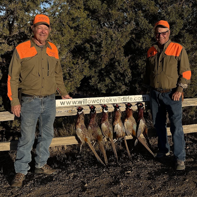 Pierre South Dakota Pheasant Hunting Lodge | Willow Creek Wildlife - Photo 4