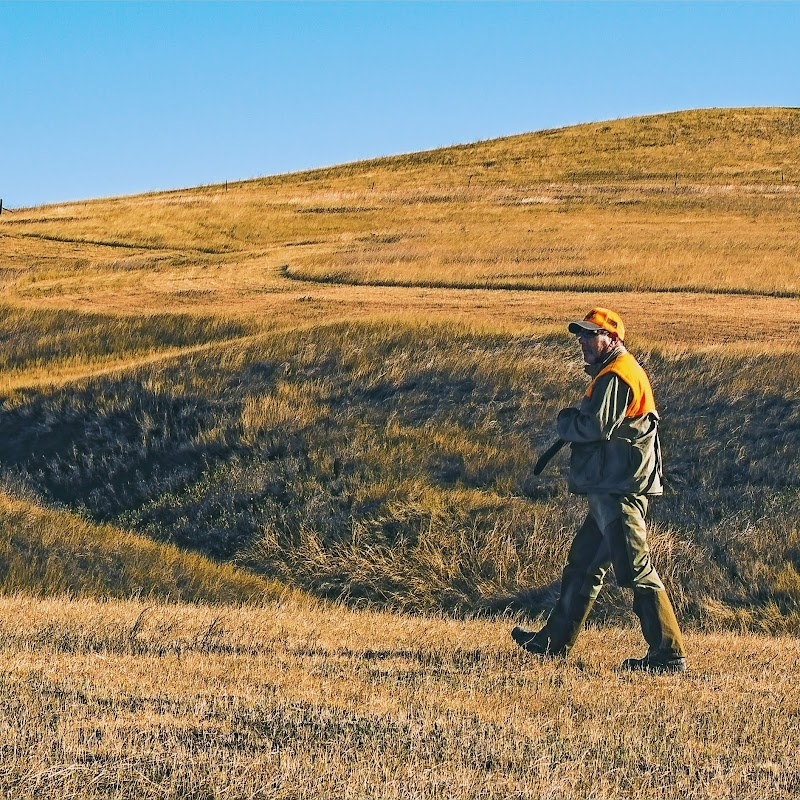 Pierre South Dakota Pheasant Hunting Lodge | Willow Creek Wildlife - Photo 3