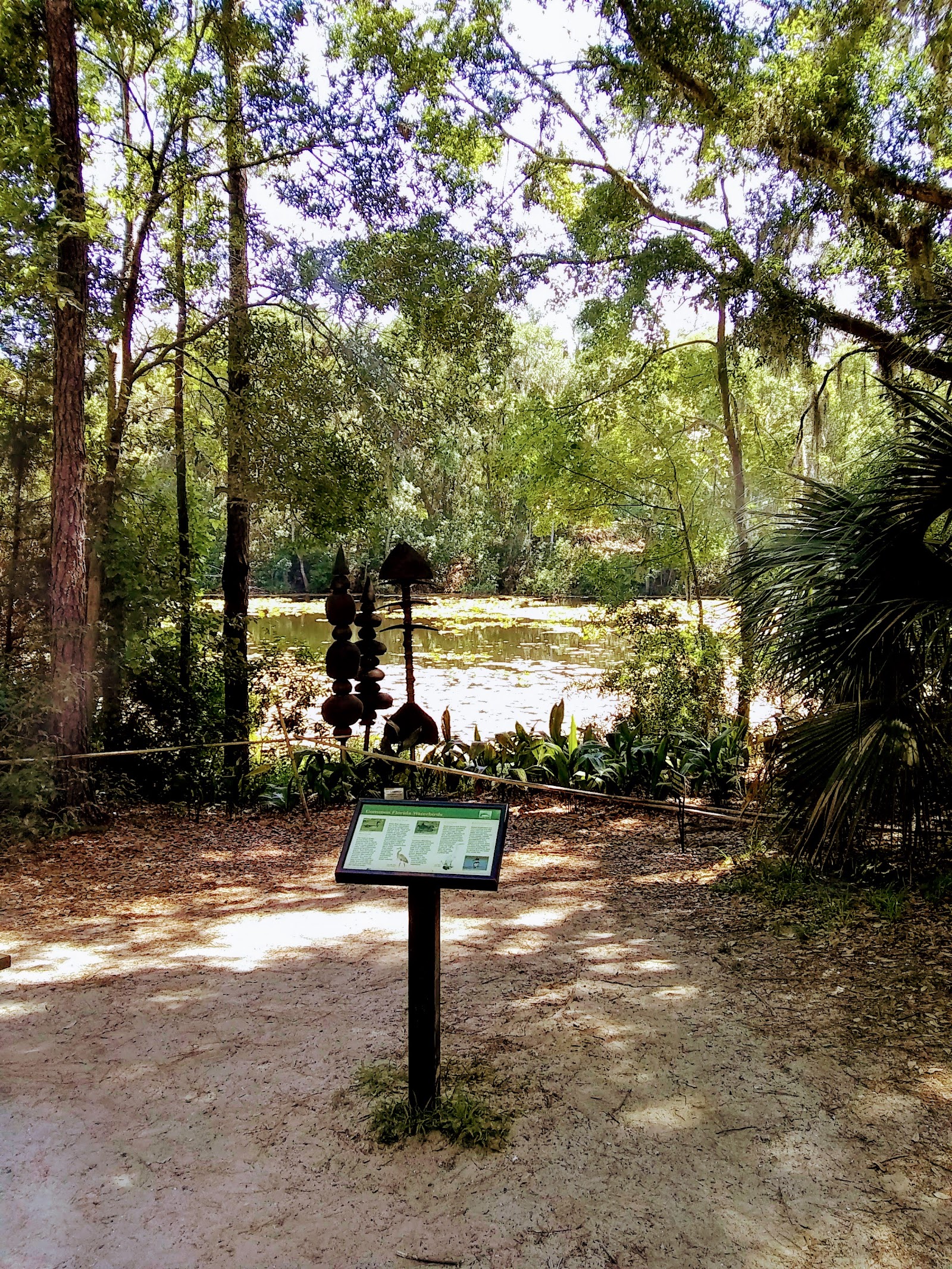 Jacksonville Arboretum & Botanical Gardens
