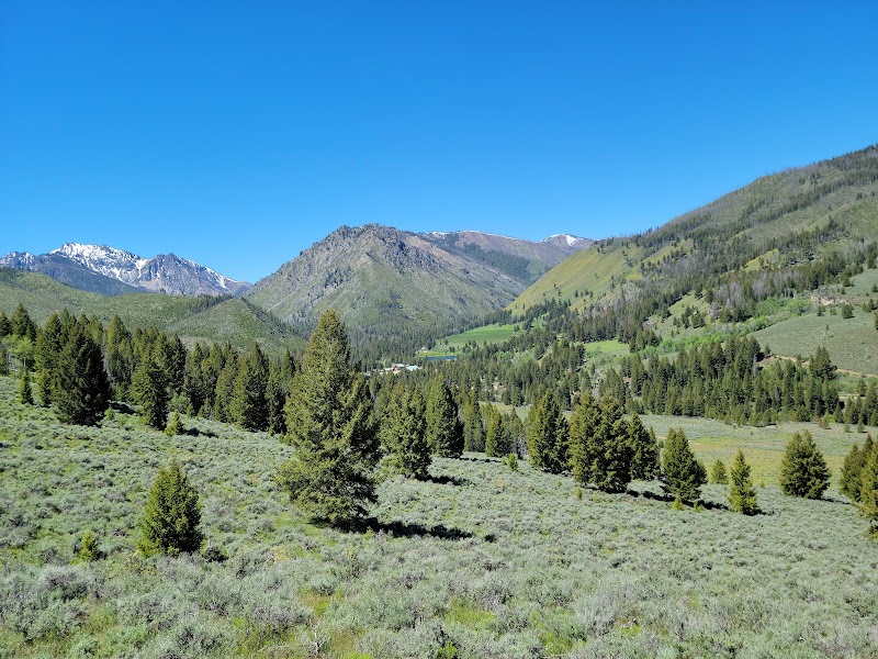 Diamond D Ranch - Photo 4