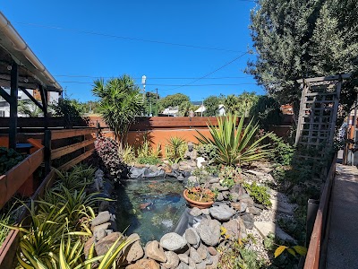 Photo Restaurant de la Bretagne