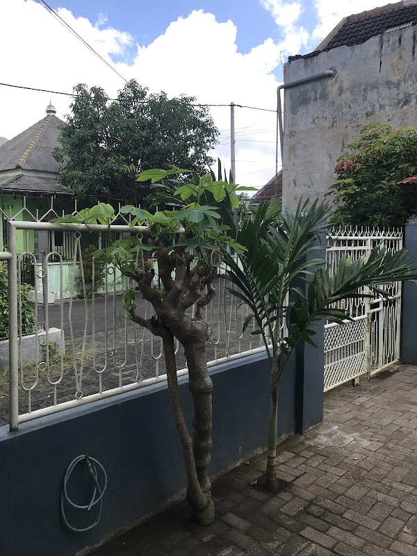 KONTRAKAN