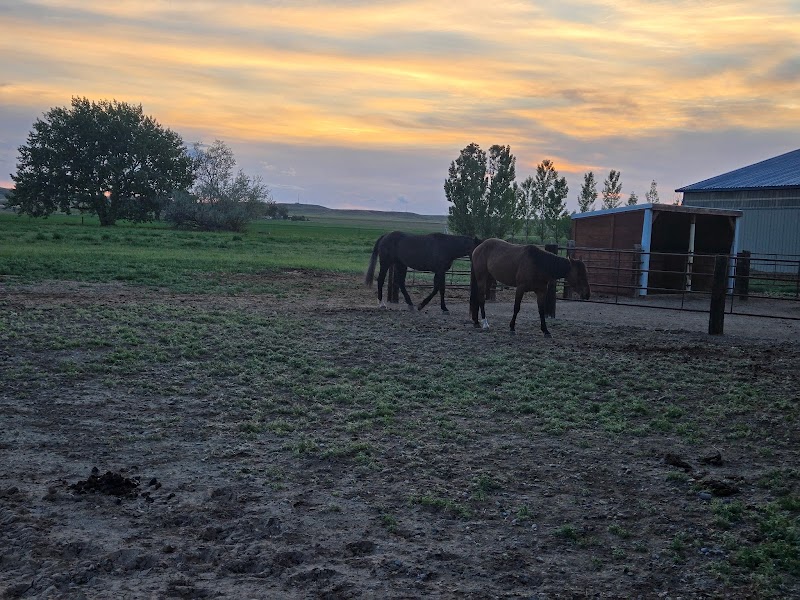 Serenity Wellness Retreat