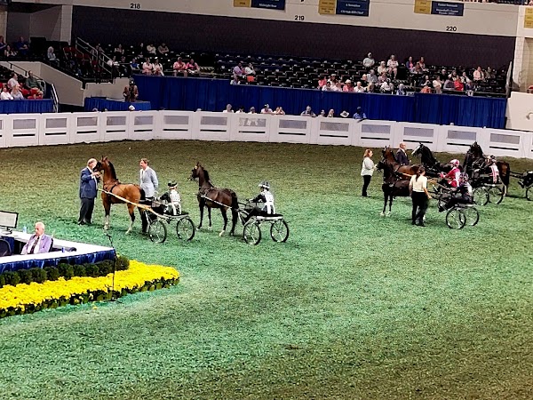 Photo by Susan Davis