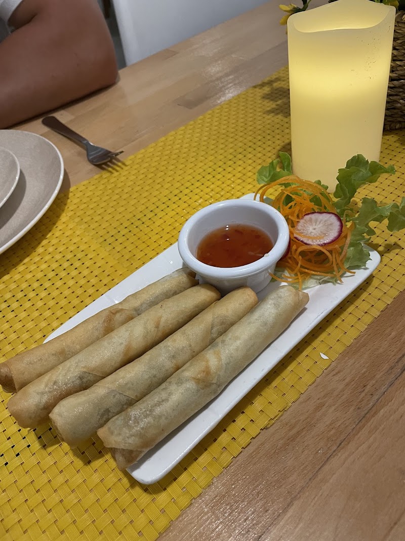 Alicia Thai photo 10