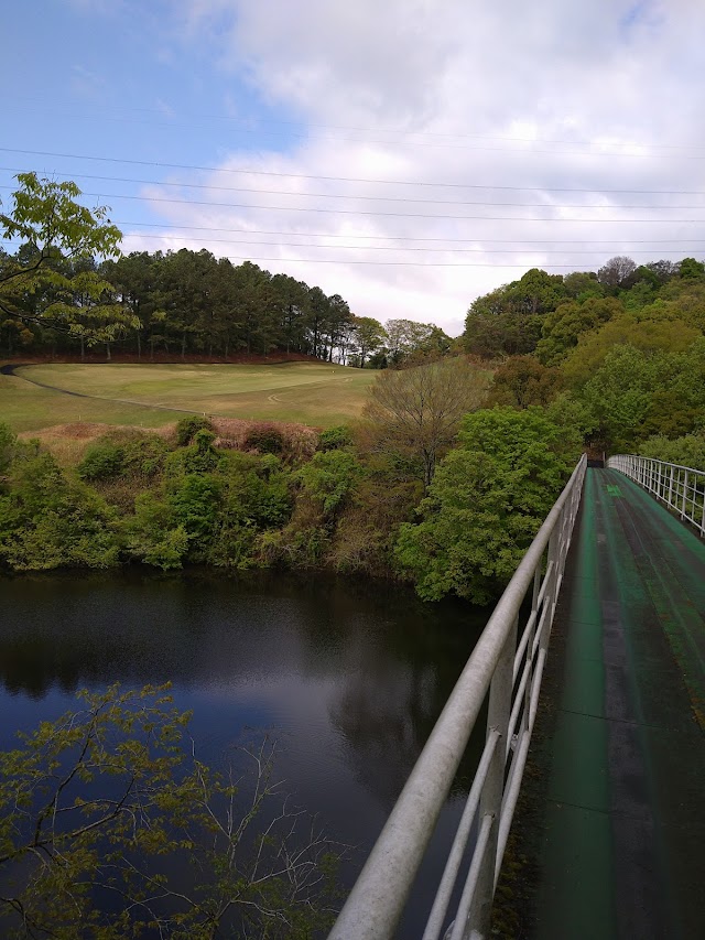 Hashimoto Country Club - Photo 7