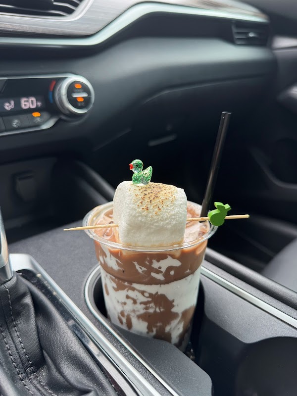 Harlow and Pearl photo 5