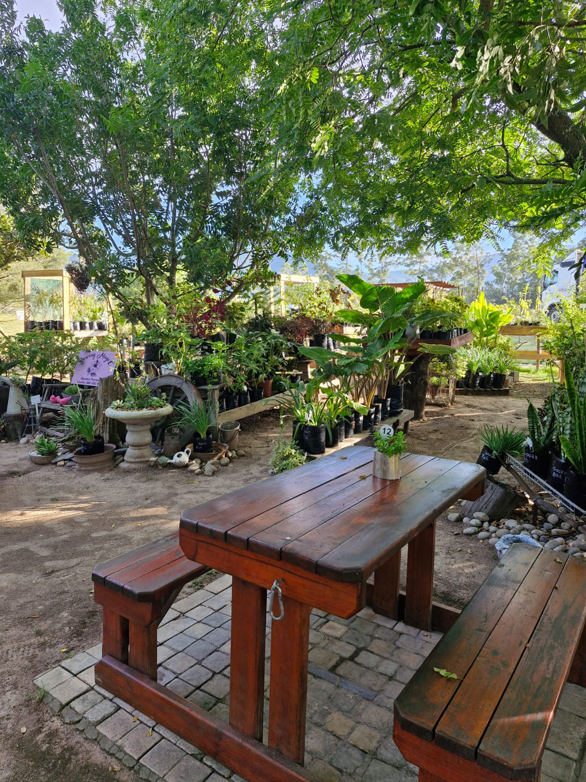 Bread & Brew restaurant in Plettenberg Bay, Garden Route