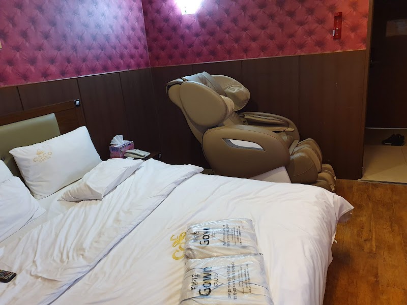 코코호텔 청주시 애견숙소