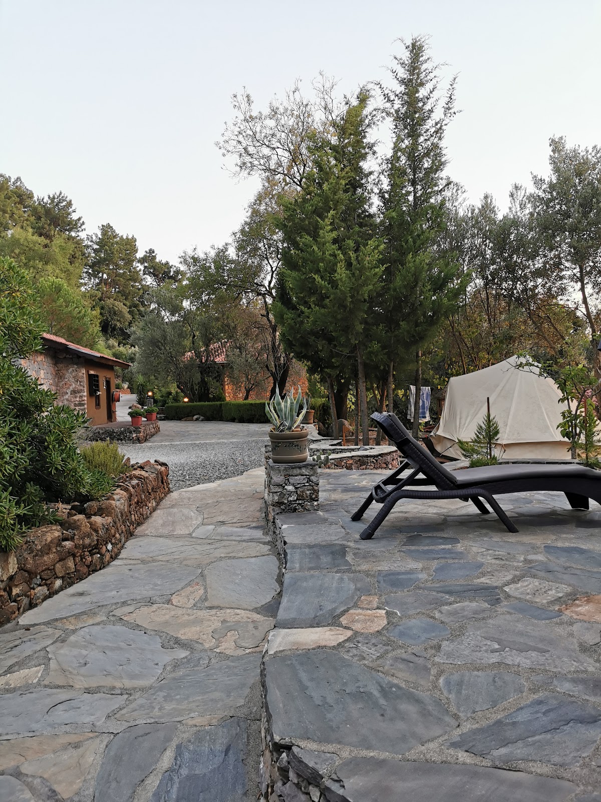 Juicy Mountain Retreat — 4