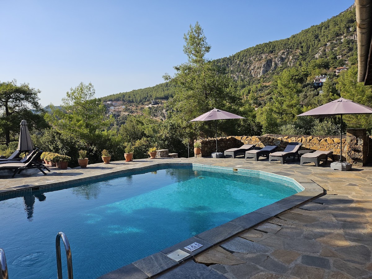 Juicy Mountain Retreat — 3