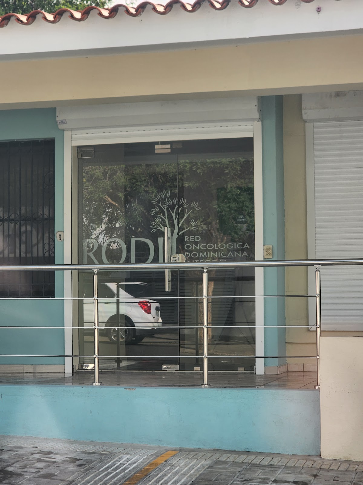 RODI - Imagen 2