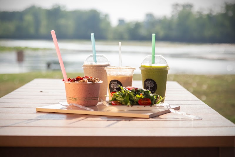 Root to Rise Wellness Cafe photo 2