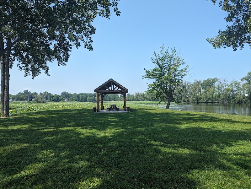 Root to Rise Wellness Cafe photo 4