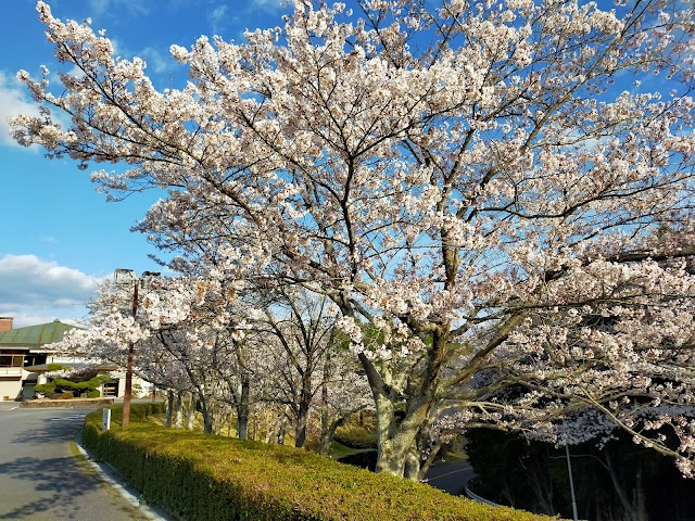Kasai Country Club - Photo 9