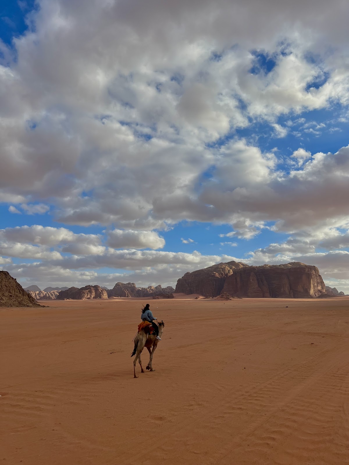 Wadi Rum Luna Desert