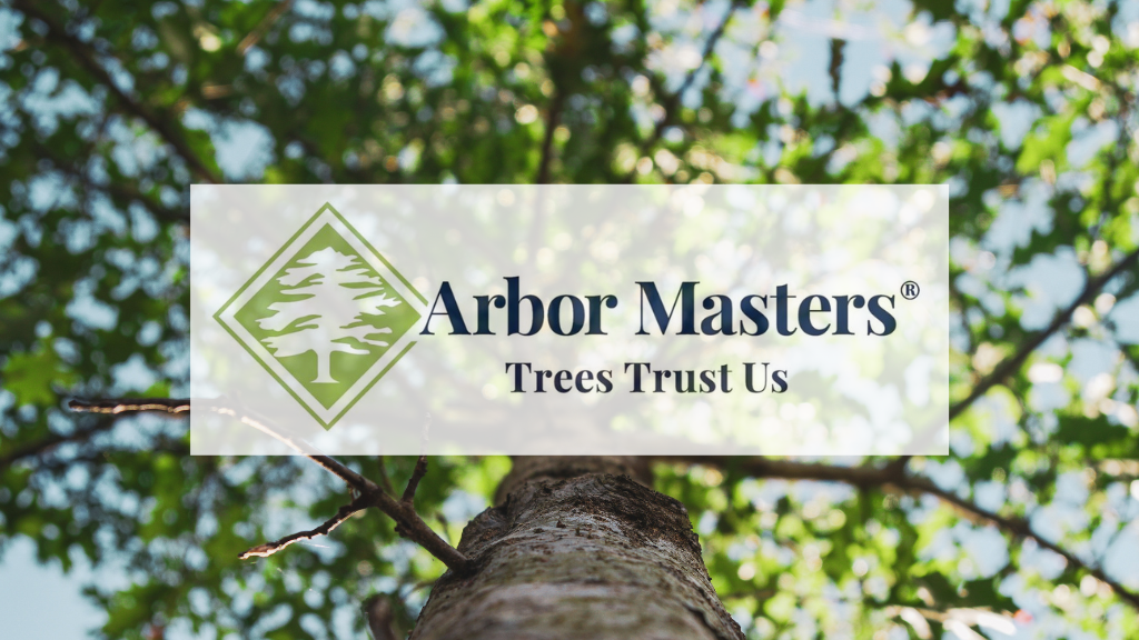 Arbor Masters of Shawnee