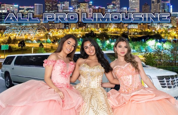 All Pro Limousine Denver portfolio