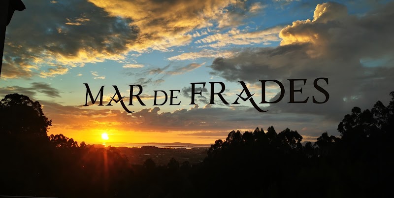 Bodega Mar de Frades photo 1