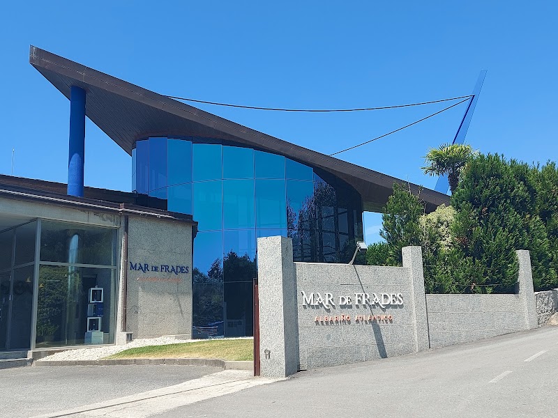 Bodega Mar de Frades photo 2