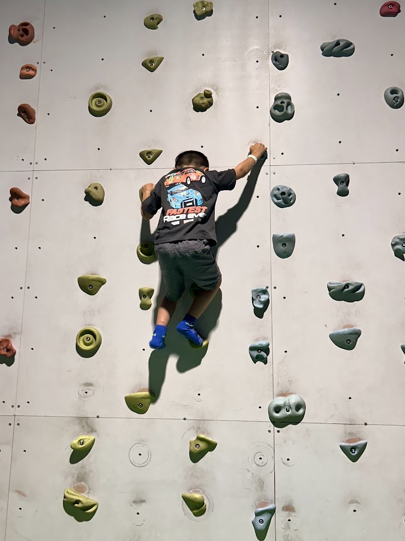 Off The Wall Kendall — interior