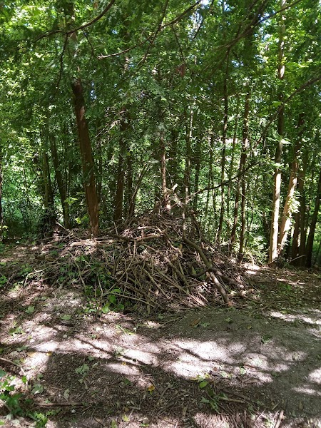 Withdean Woods