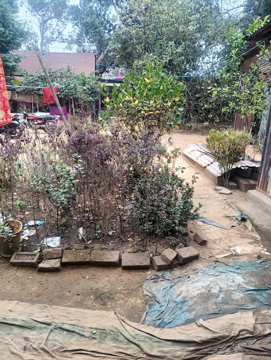 Decorator house (trishan) Google photo 1