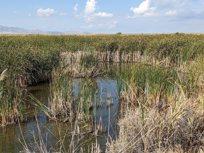 George S. and Dolores Doré Eccles Wildlife Education Center - Photo 4