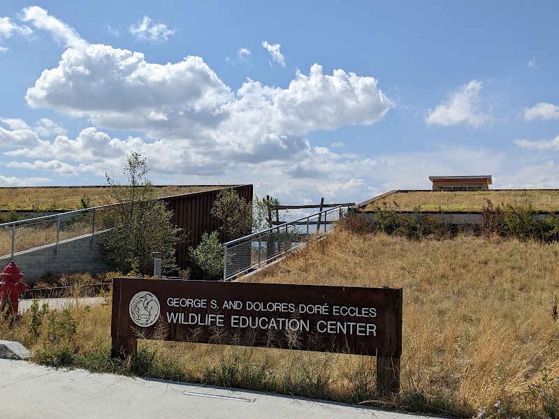 George S. and Dolores Doré Eccles Wildlife Education Center - Photo 1