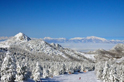 Shiga Kogen Tannenomori Okojo Ski Area - 3