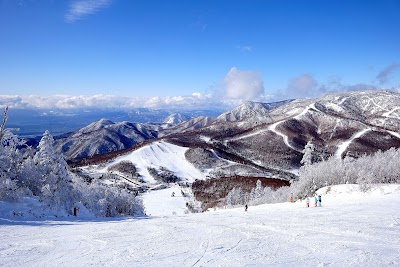 Shiga Kogen Tannenomori Okojo Ski Area - 1