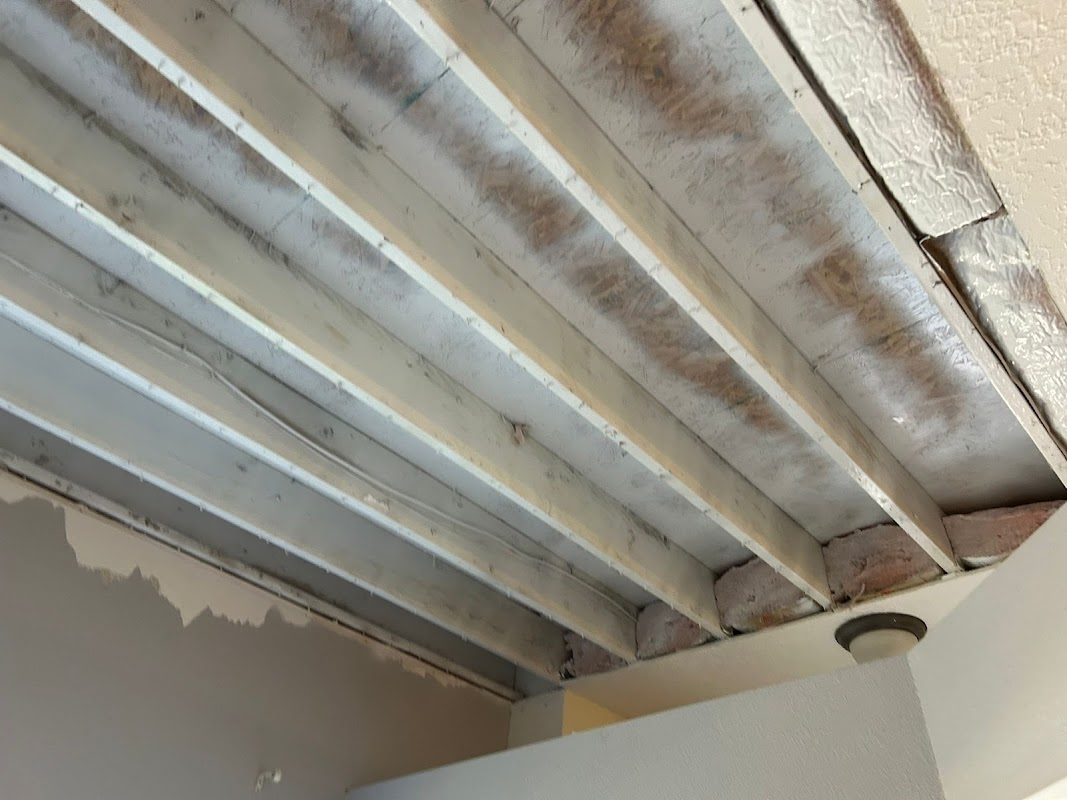 Mold Busters New Mexico — photo