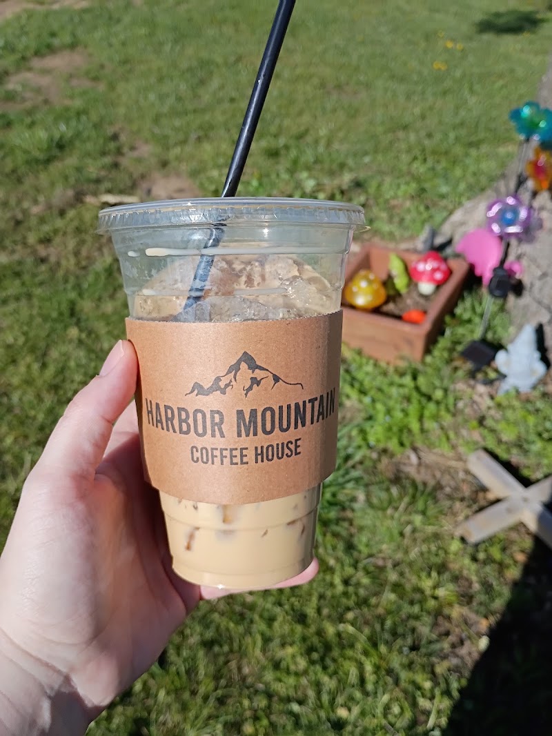 Harbor Mountain 2 Go photo 4