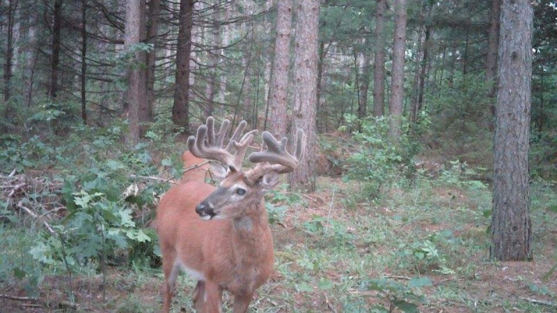 Jw Outfitters - Photo 6