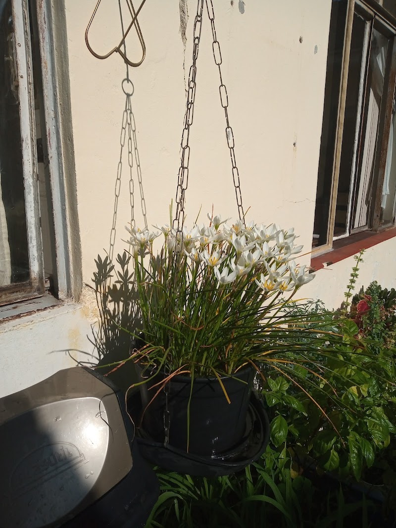 Dra. Maria Nina Munoz - Dentista 24 Horas - foto 5