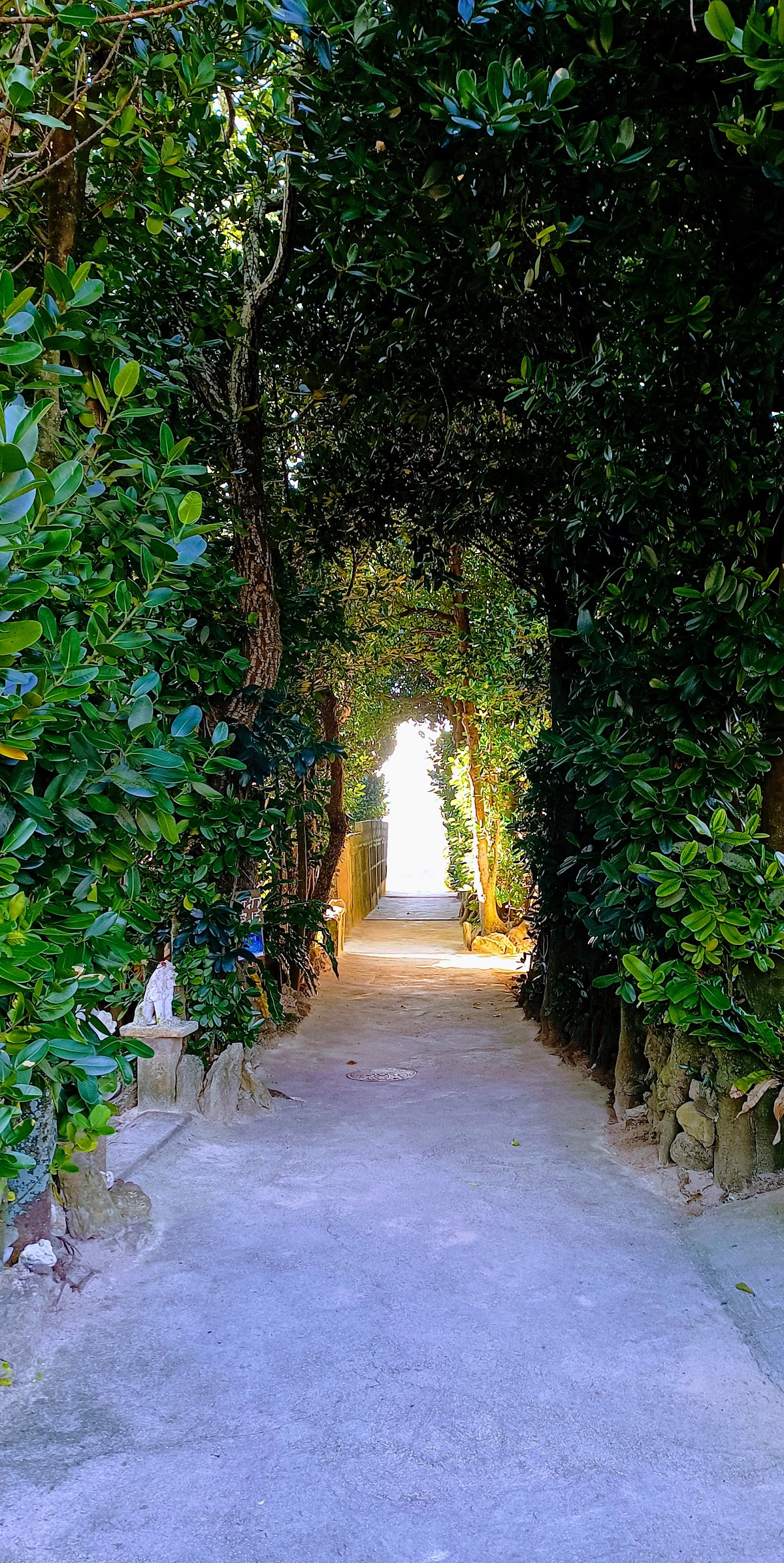 Nagisa no Mori - villa in Kunigami/Yanbaru, Okinawa