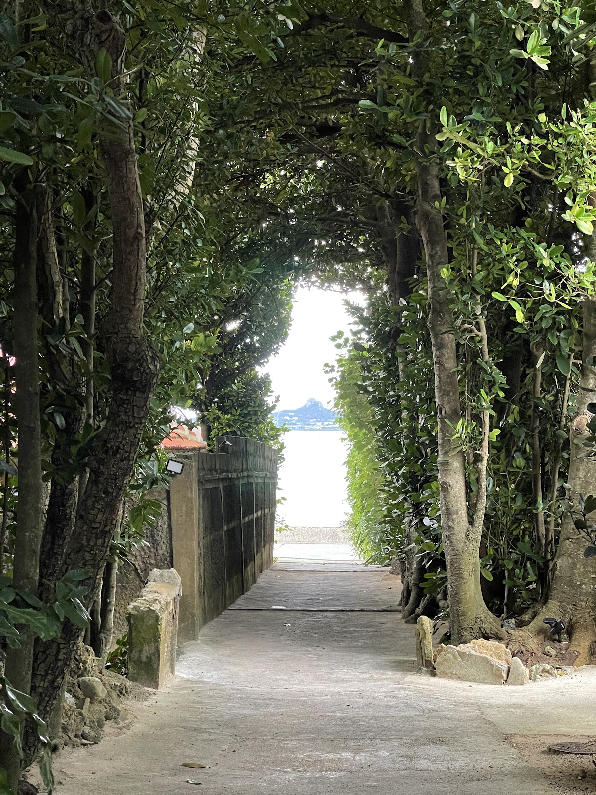 Nagisa no Mori - villa in Kunigami/Yanbaru, Okinawa (3)