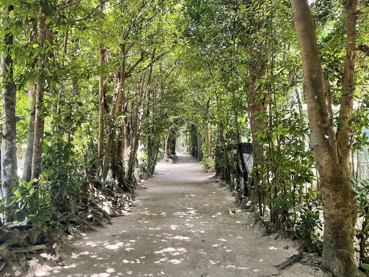 Nagisa no Mori - villa in Kunigami/Yanbaru, Okinawa (2)