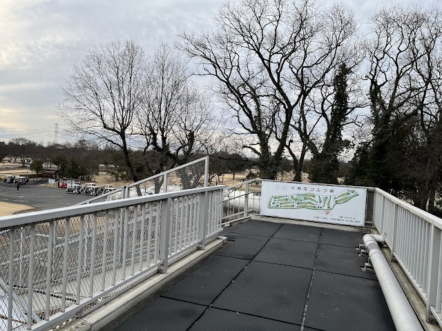 Oaso Golf Course - Photo 7