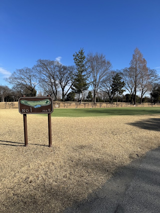 Oaso Golf Course - Photo 8