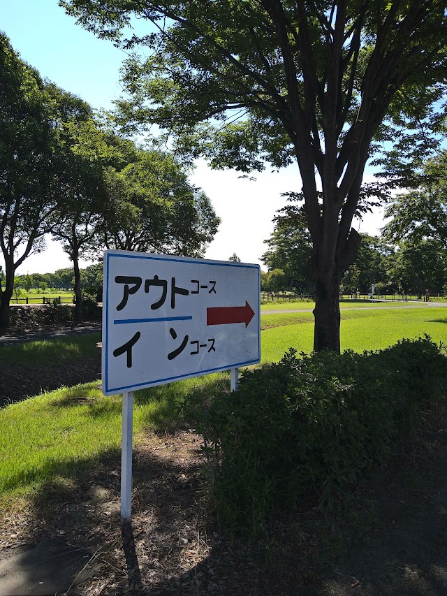 Oaso Golf Course - Photo 10