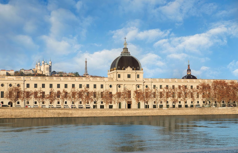 InterContinental Lyon - Hotel Dieu fotoğraf 1