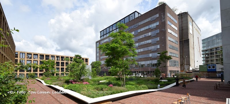Meelfabriektuin