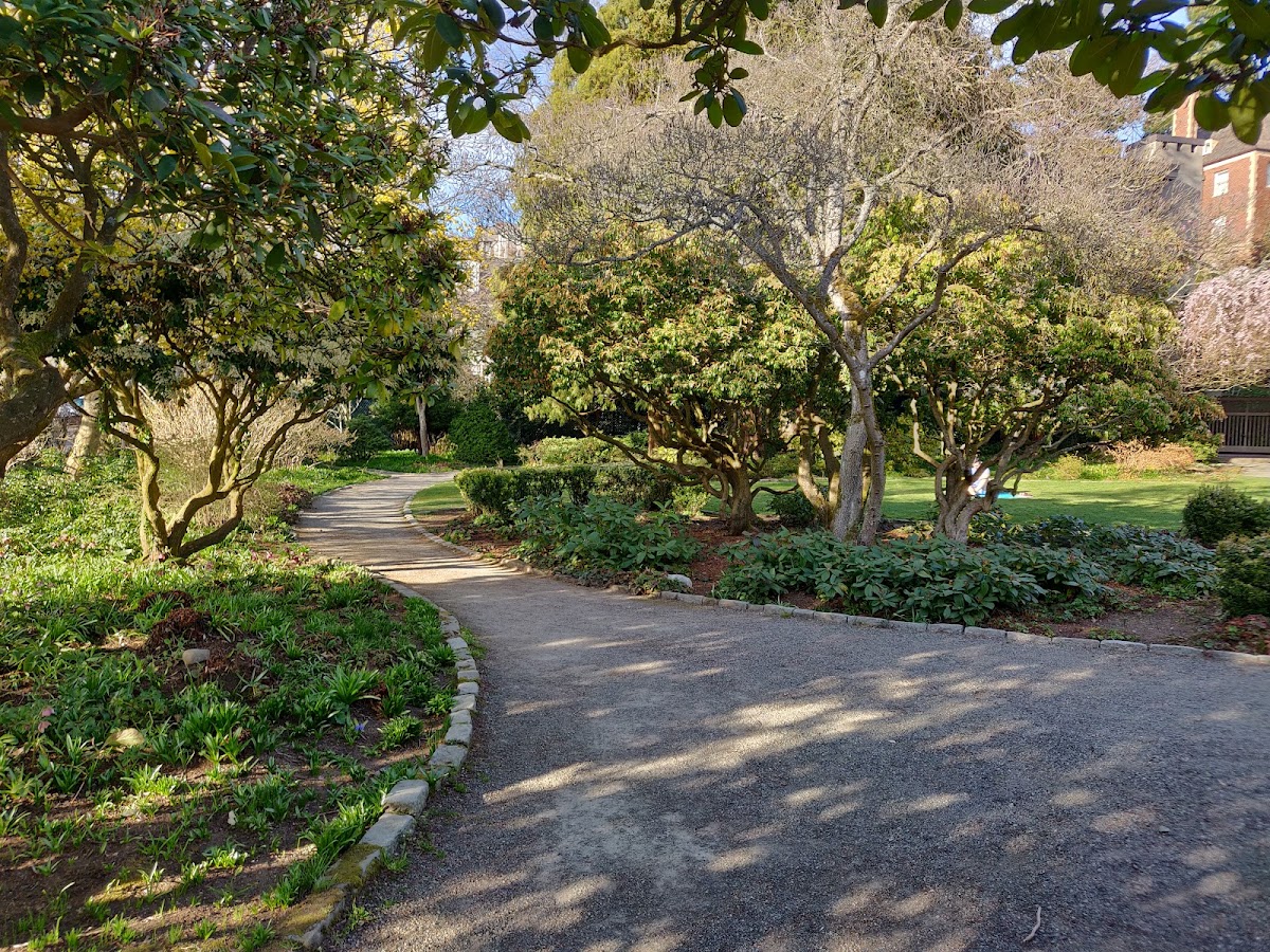 Parsons Gardens: Google Places image 3