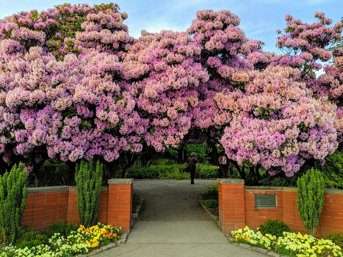 Parsons Gardens: Google Places image 5