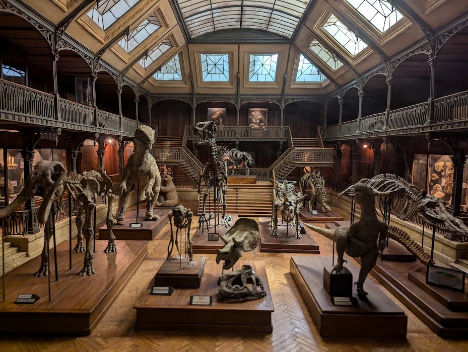 Musée Cinéma et Miniature fotoğraf 1