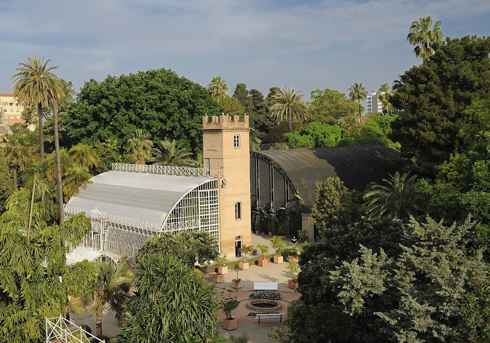 Jardín Botánico fotoğraf 1
