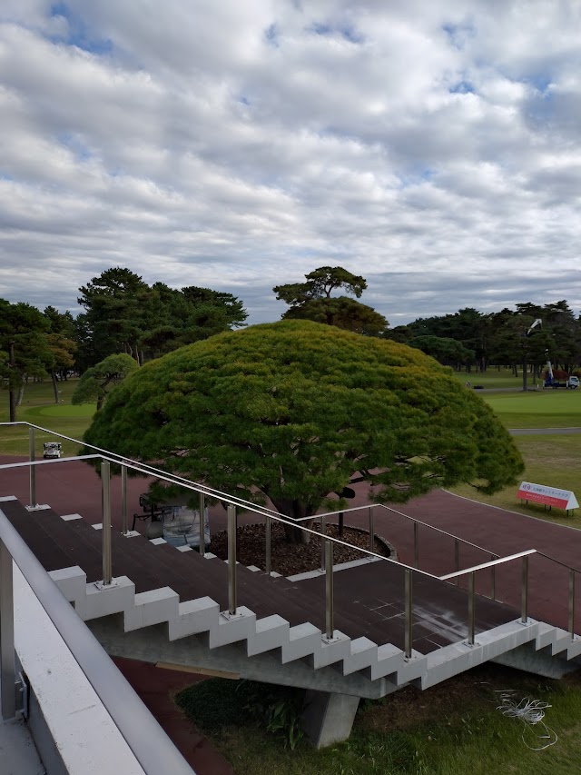 Ohtone Country Club - Photo 8