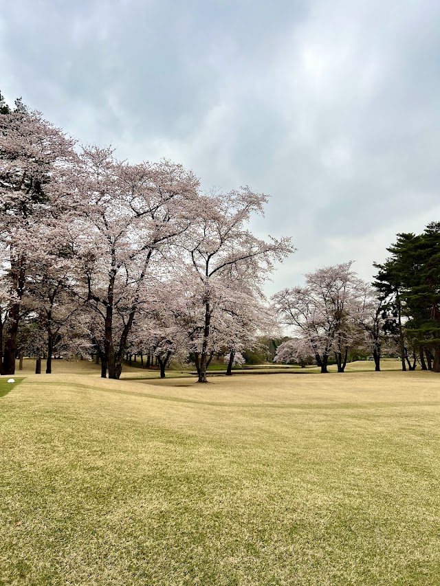 Ohtone Country Club - Photo 7